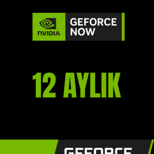 GeForce NOW Game Plus 12 Aylık