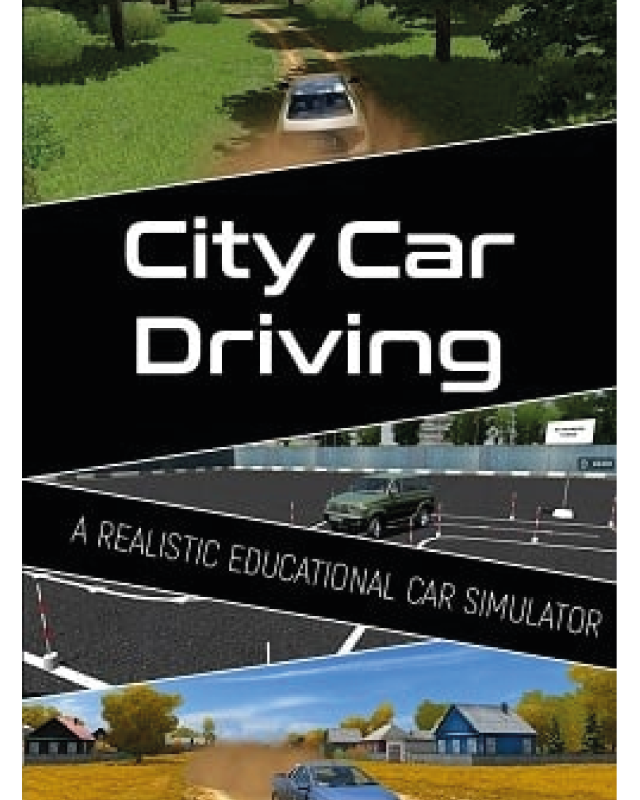 City Car Driving