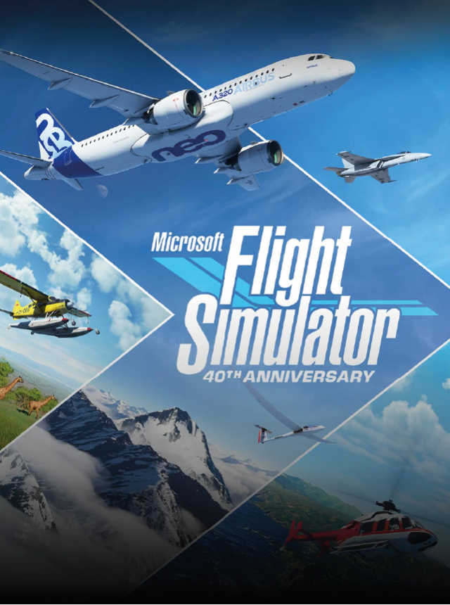 Microsoft Flight Simulator