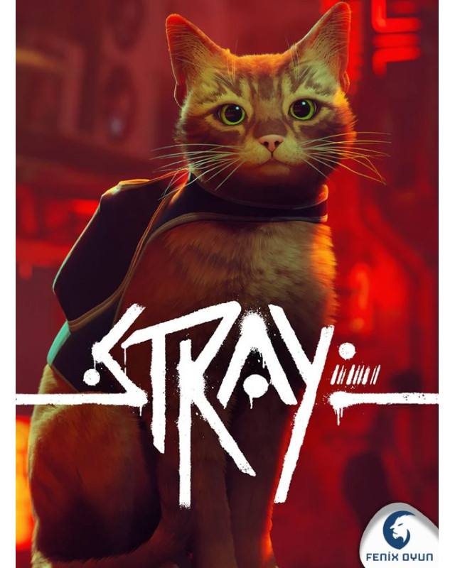 Stray