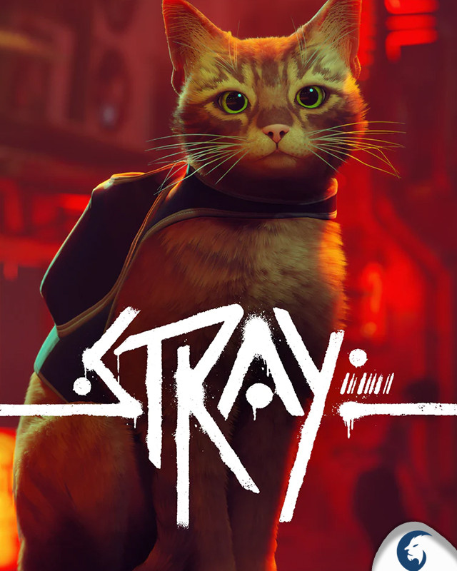 Stray Stray