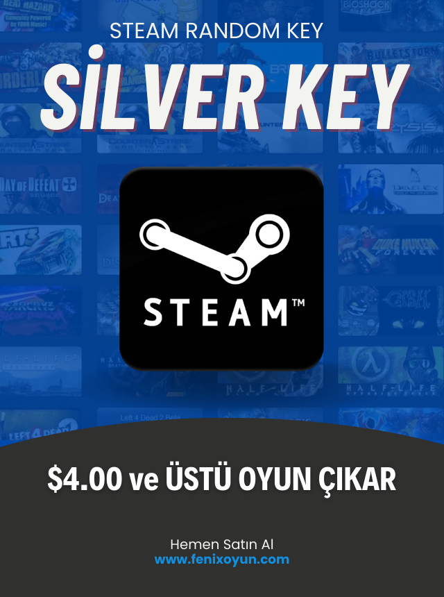 Steam Silver Random Key